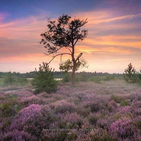 Natuurhuisje Oisterwijk Villa Eksteriør bilde