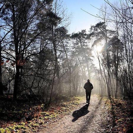 Natuurhuisje Oisterwijk Villa Eksteriør bilde