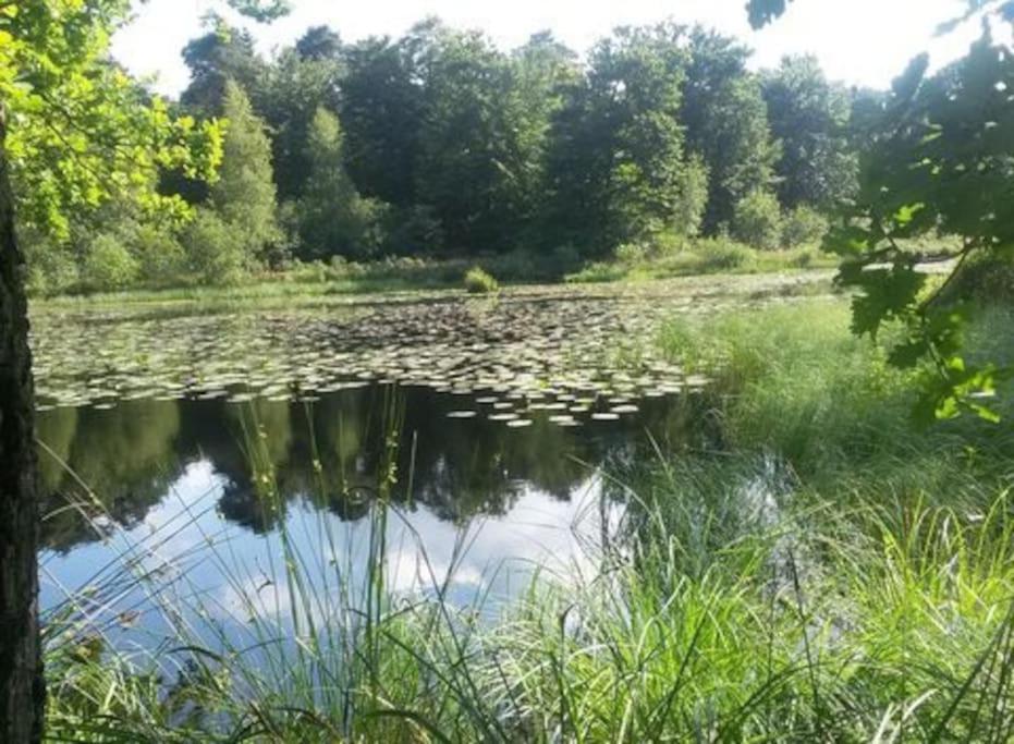 Natuurhuisje Oisterwijk Villa Eksteriør bilde