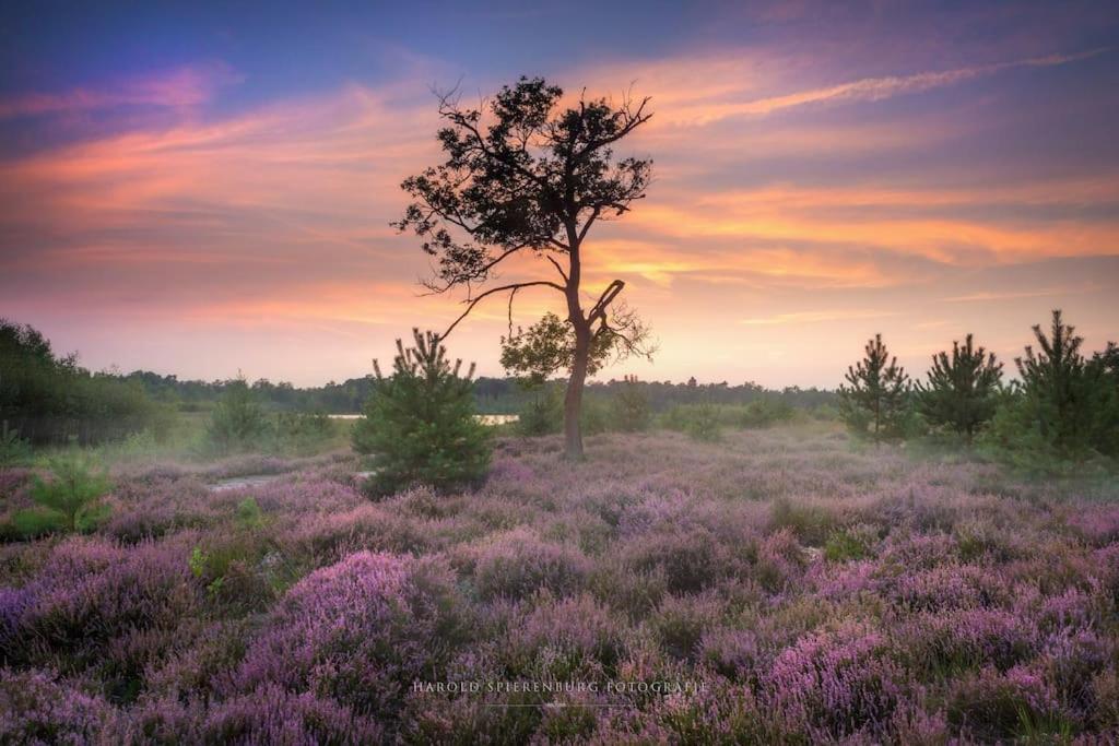 Natuurhuisje Oisterwijk Villa Eksteriør bilde