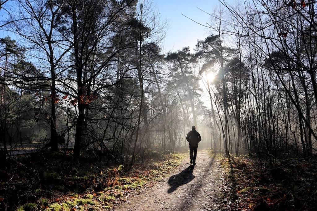 Natuurhuisje Oisterwijk Villa Eksteriør bilde