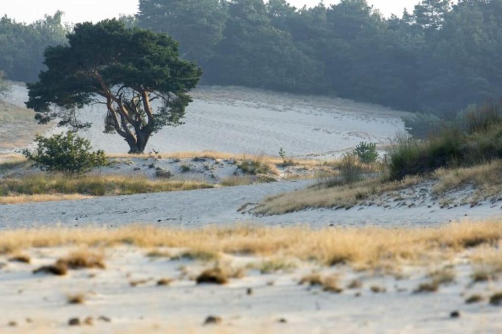 Natuurhuisje Oisterwijk Villa Eksteriør bilde