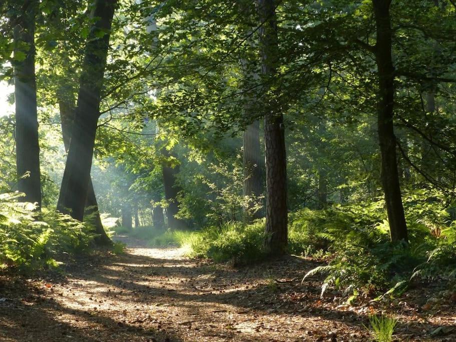 Natuurhuisje Oisterwijk Villa Eksteriør bilde