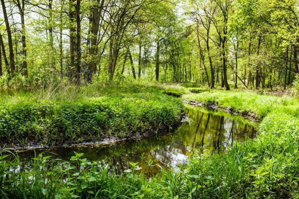 Natuurhuisje Oisterwijk Villa Eksteriør bilde