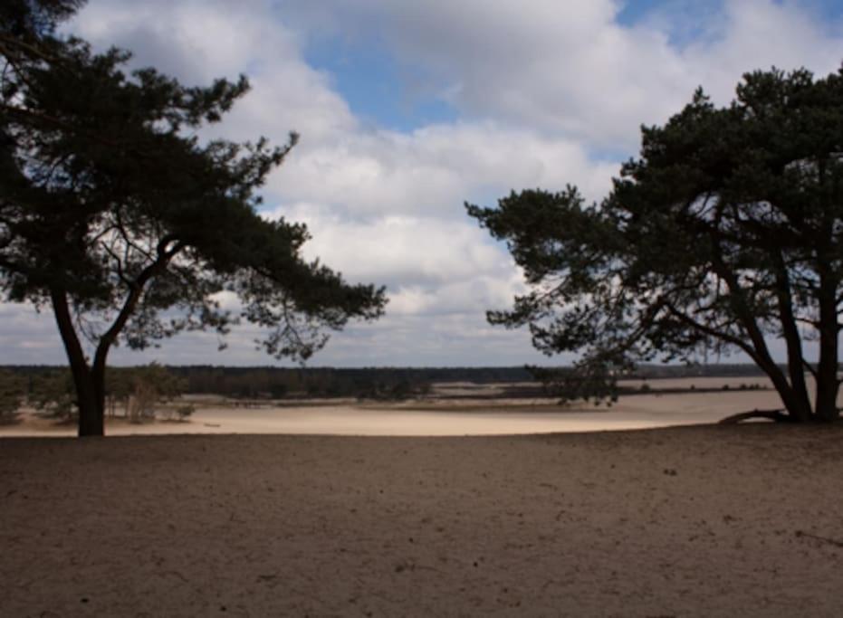 Natuurhuisje Oisterwijk Villa Eksteriør bilde