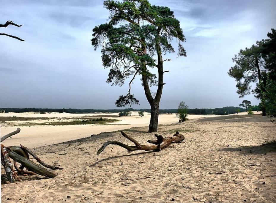 Natuurhuisje Oisterwijk Villa Eksteriør bilde